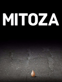 Mitoza