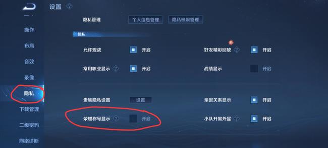 王者荣耀战力隐藏了怎么打开？