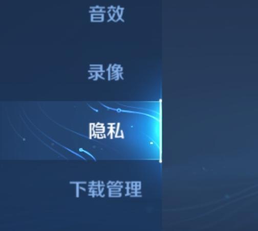 王者查阅权限怎么设置？