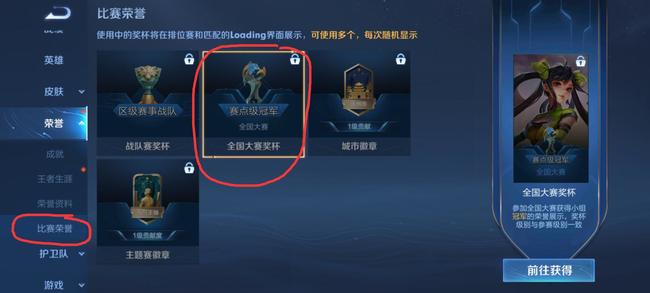王者荣耀全国大赛赛点级冠军怎么显示？