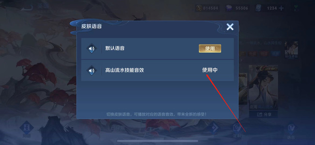 王者荣耀庄周高山流水皮肤语音怎么使用？