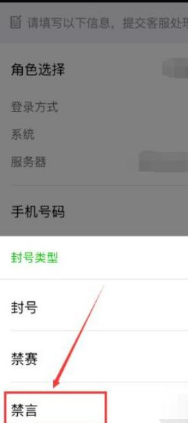 王者什么都没干就被禁言怎么申诉？