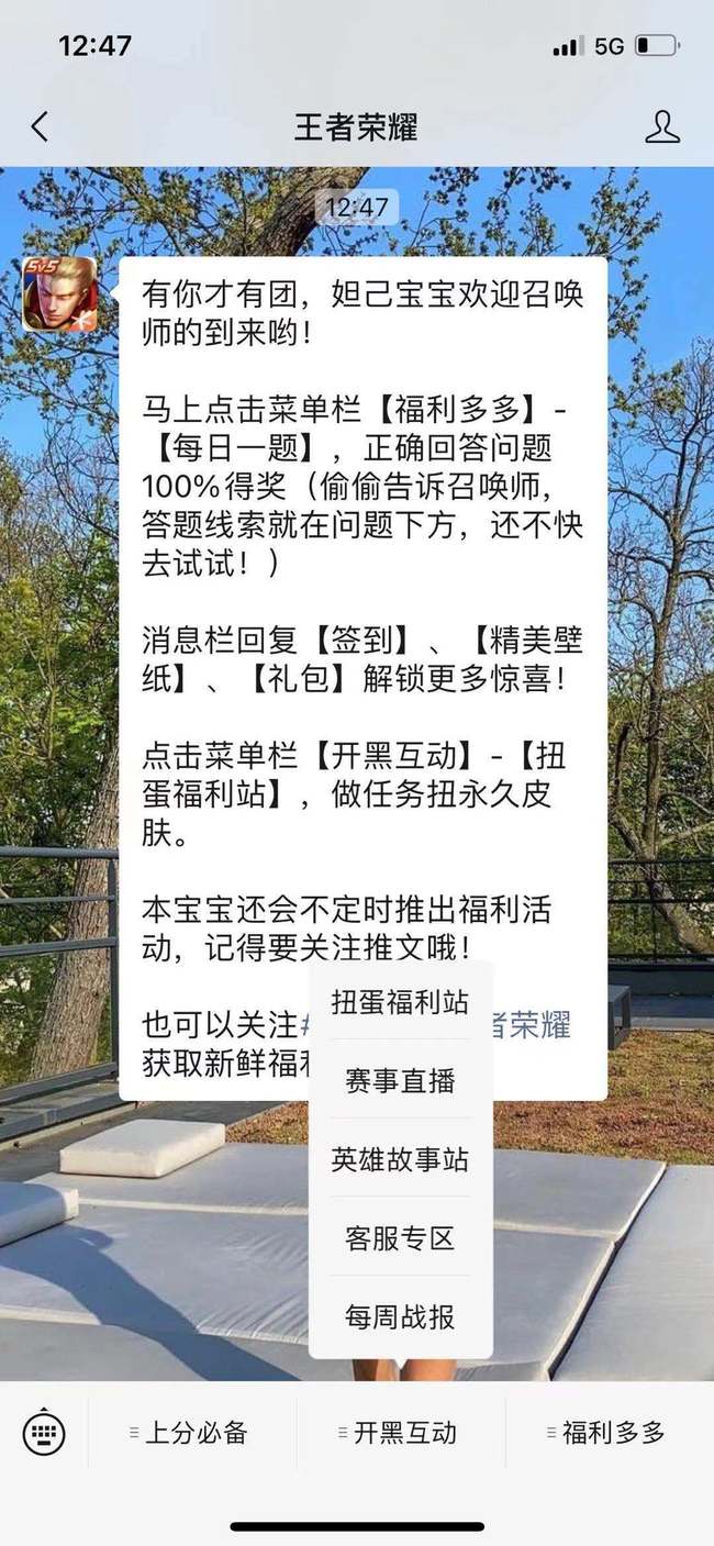 王者荣耀公众号的常见栏目是什么？