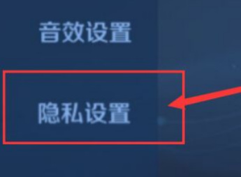 王者荣耀好友巅峰赛不能观战怎么办？