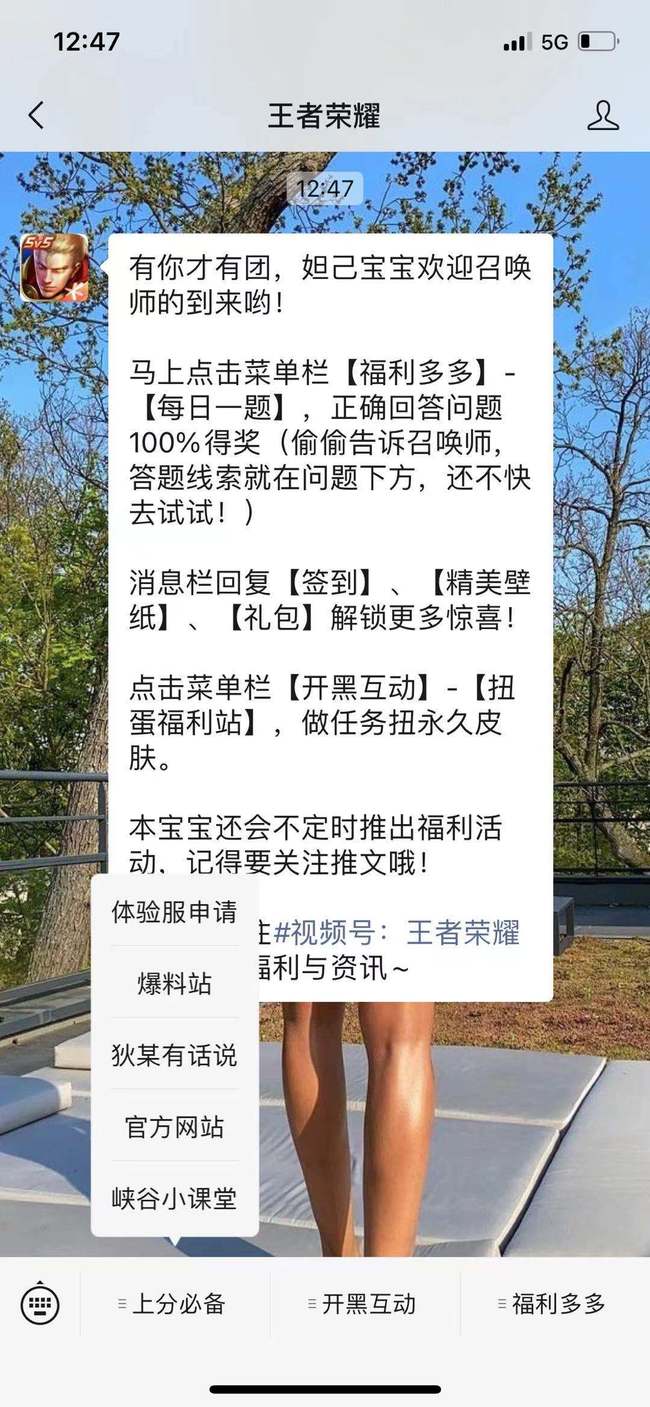 王者荣耀公众号的常见栏目是什么？