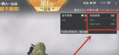 和平精英双倍上分卡怎么用？