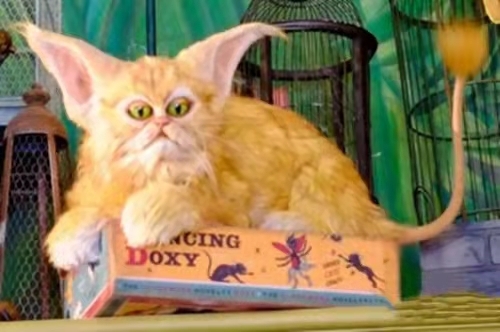 哈利波特魔法觉醒哪种魔法生物像家猫？