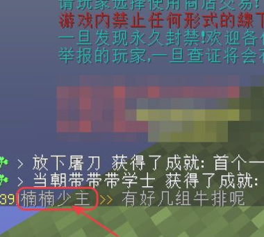 我的世界如何传送到队友身边？