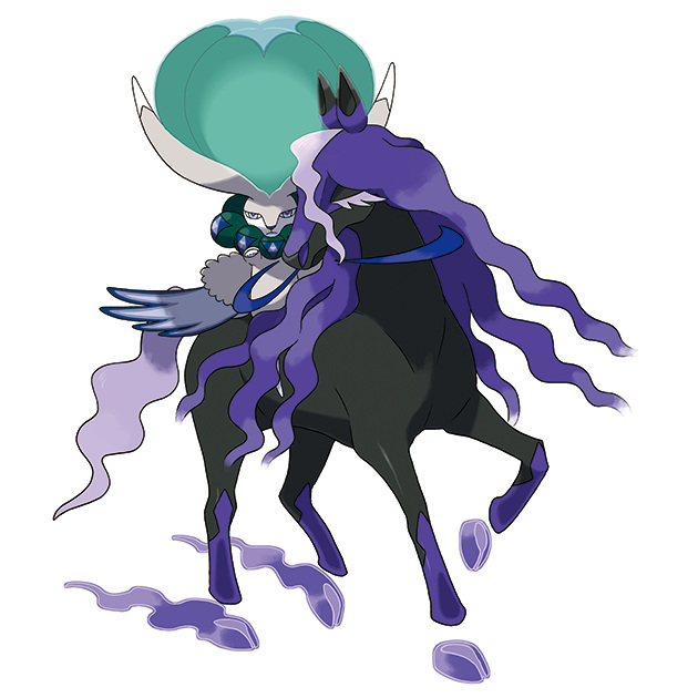 蕾冠王黑马形态图片