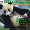 U9_守护国宝大熊猫升级版V3.0