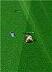 国际足联世界杯汉化版 魔兽地图