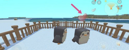 企鹅怎么引诱？如何进行繁殖？