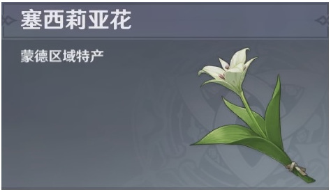 塞西莉娅花有什么用？