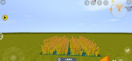 水稻如何获取？怎么种植？