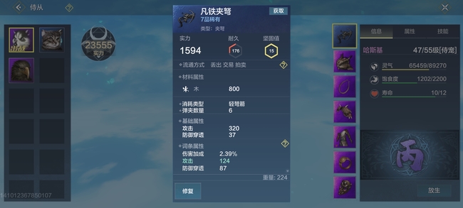 侍从用什么武器好？