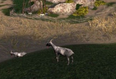 模拟山羊mmo所有羊的解锁方式是什么？