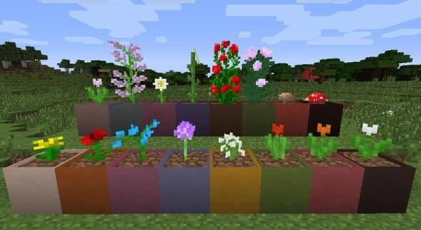 花盆怎么种花？