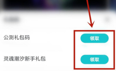 灵魂潮汐vip兑换码从哪获取？