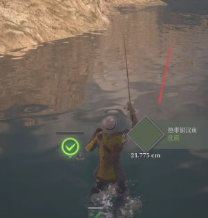 神佑释放怎么钓鱼？