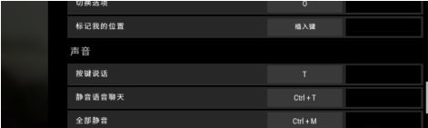 pubg怎么说话按哪个键？