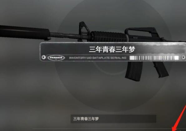 csgo枪温柔的名字怎么起？