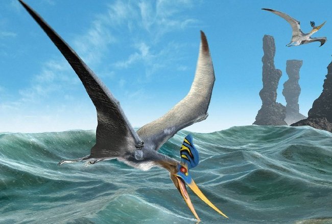 最终幻想14如何获得坐骑-无齿翼龙?