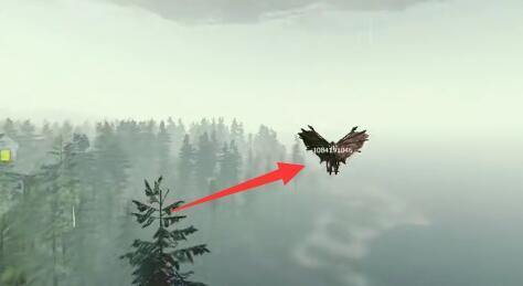 森林滑翔翼怎么用？