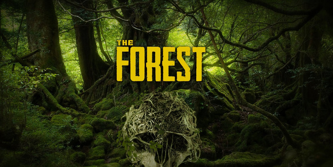 森林怎么标记地方？