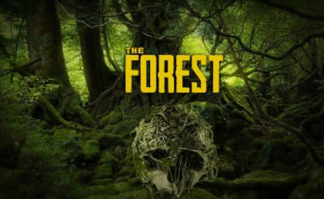 森林里有多少个角色线索？
