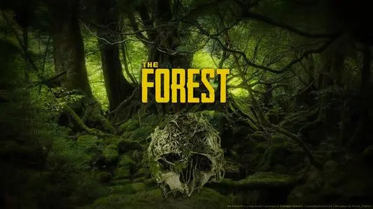 森林讲的是什么故事？