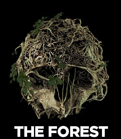 theforest地图在哪里获得？