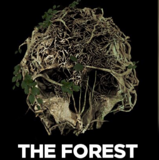 森林的属性有什么？
