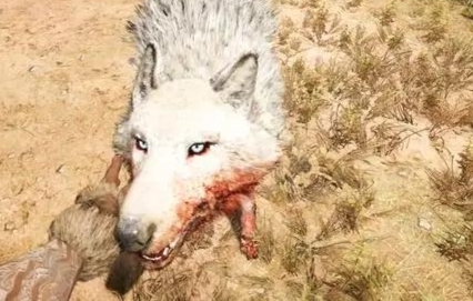 奥德赛杀了血狼会发生什么变化？