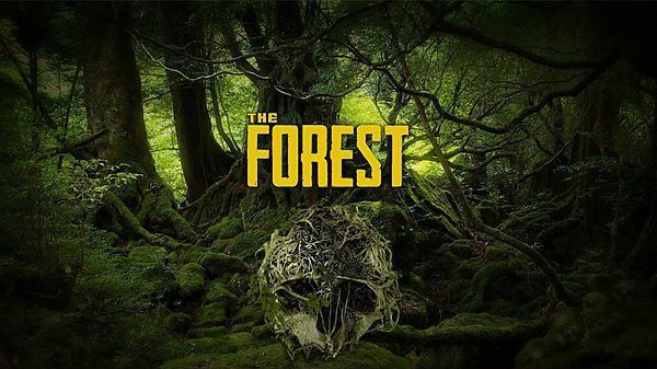 森林最多可以几个人玩？