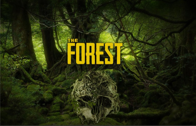 森林支持多少人联机吗？