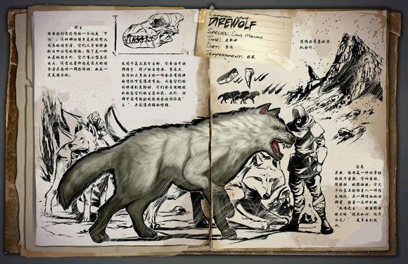 方舟：生存进化恐狼吃什么饲料?