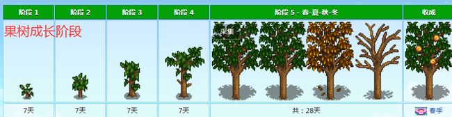 星露谷物语果树怎么种？