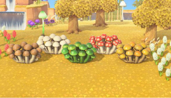 集合啦！动物森友会蘑菇怎么得到？