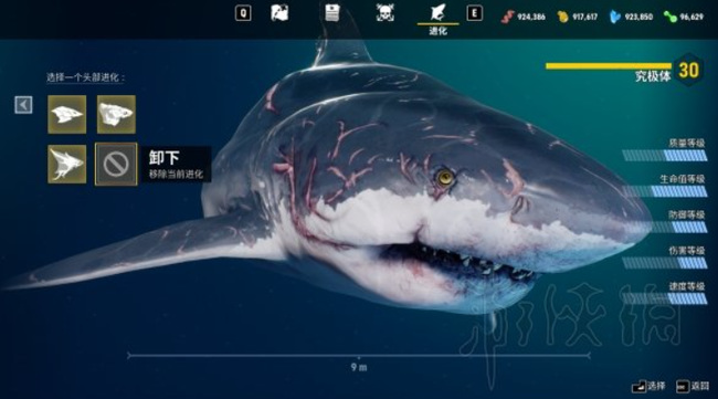 食人鲨30级还是成熟期吗？