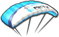 马里奥赛车 滑翔伞选择什么？