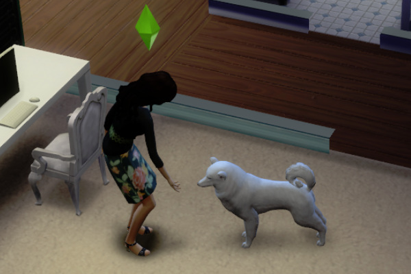 模拟人生4狗狗怎么上厕所？