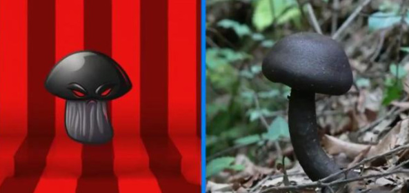 植物大战僵尸2毁灭菇的真实原型是什么？