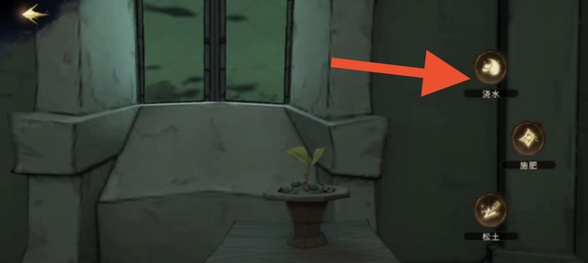 哈利波特寝室植物怎么浇水？