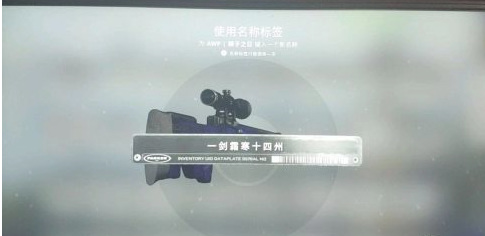 csgo武器标签能删除吗？