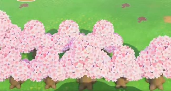 动森樱花花瓣怎么收集？