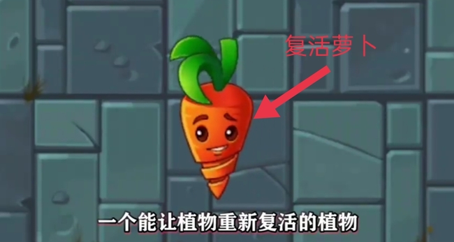 植物大战僵尸2复活萝卜怎么用？