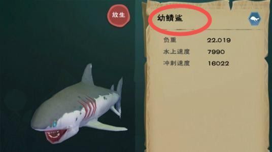 创魔幼鲭鲨饲料保底多少包？