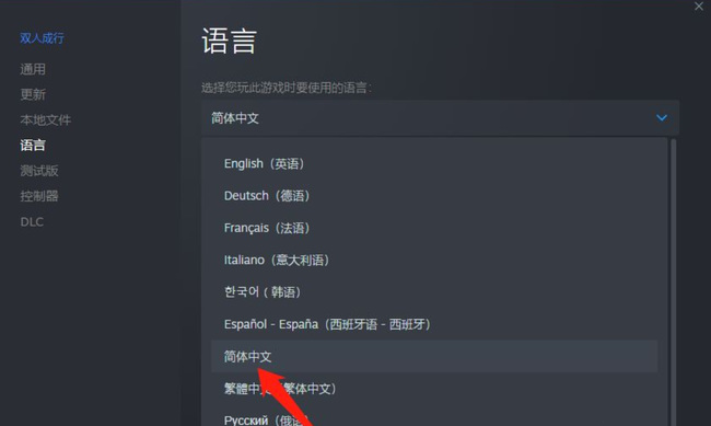 双人成行中文设置选项在哪？