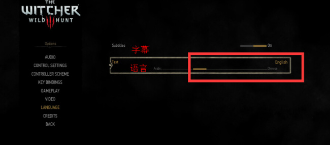 巫师3ns日版有中文设置吗？