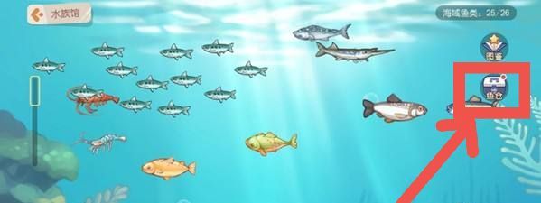 奥比岛：梦想国度高级鱼饵怎么获得？